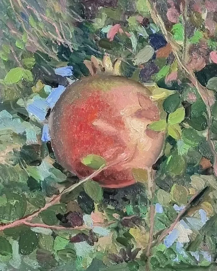 Melograno — opera originale di Emilio Ventura, 24x30 cm, nature morte