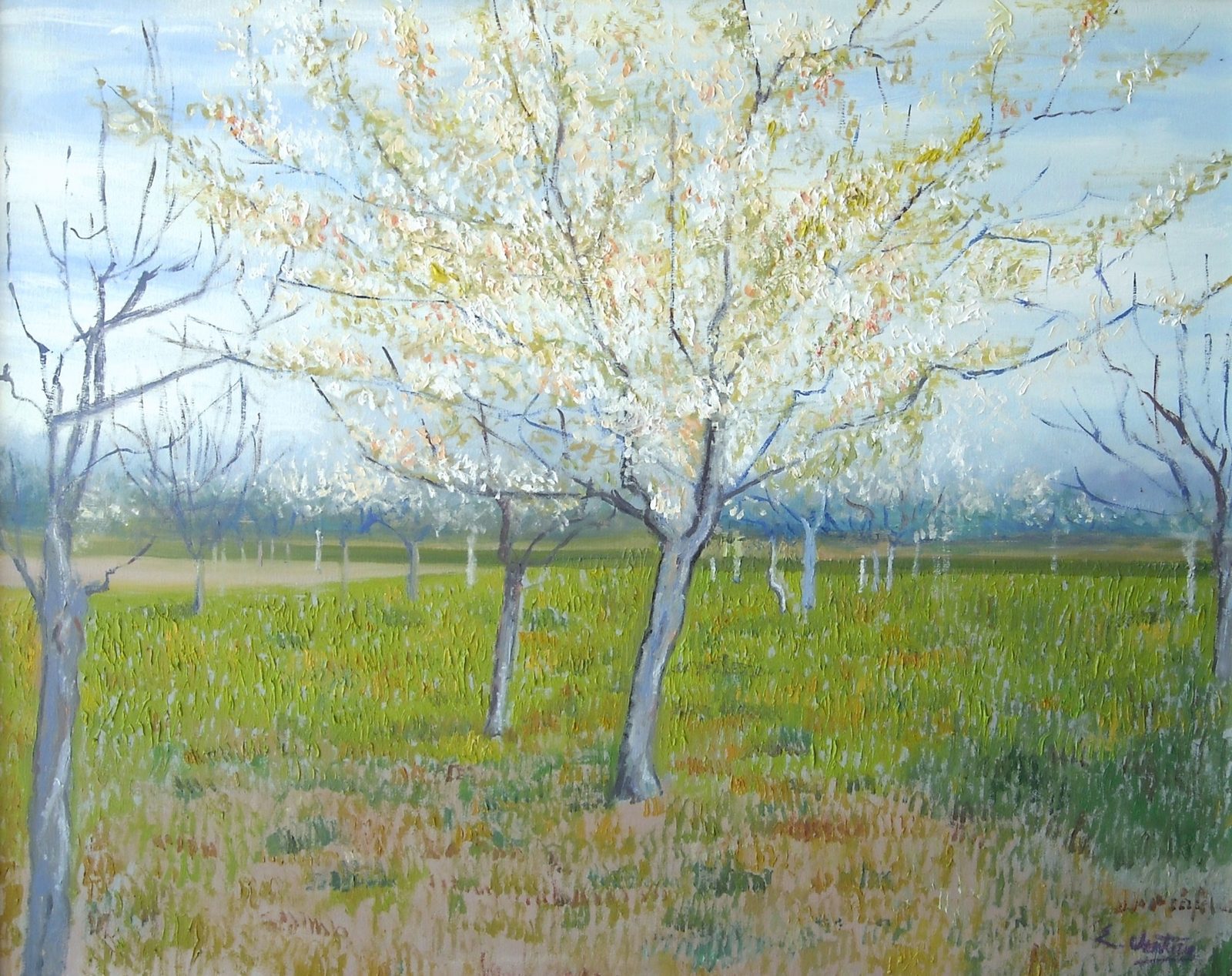 Riproduzione dipinta a mano di Albero di albicocche in fiore di Vincent Van Gogh, realizzata da Emilio Ventura