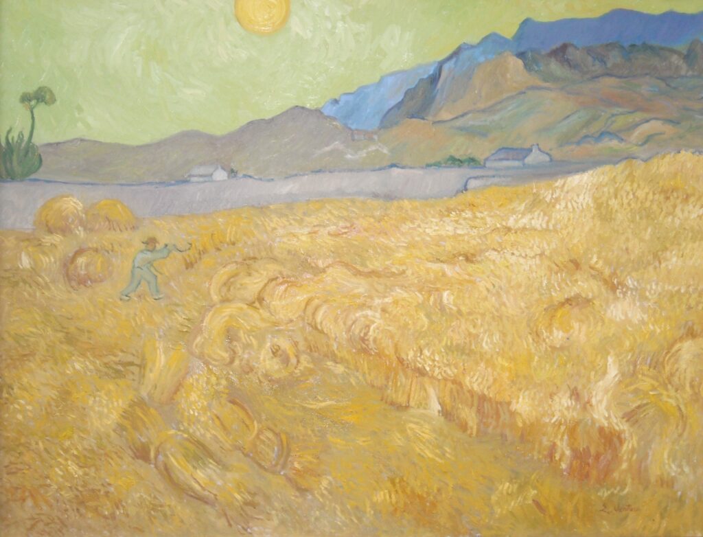 campo di grano con seminatore(da van gogh 70x90)